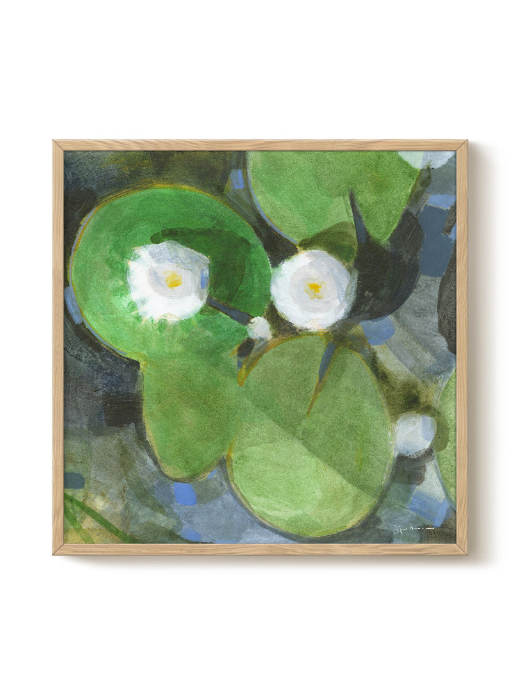 Jörgen Hansson - Water Lily | PSTR studio