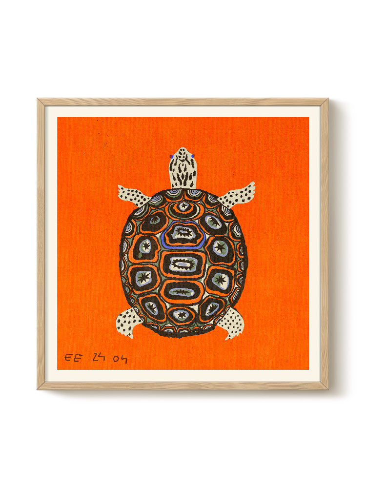 Enikő Eged - Turtle Orange | PSTR studio