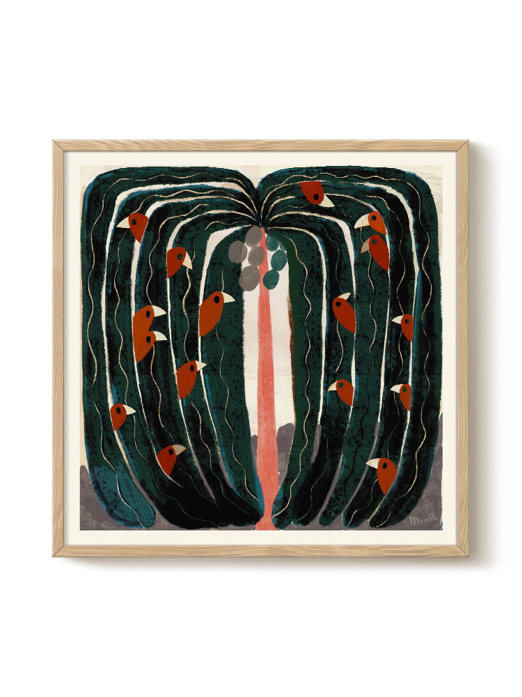 Marco - Tropical Tree | PSTR studio