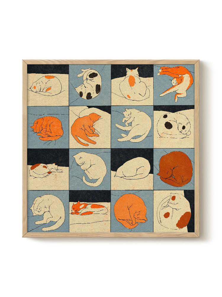 Enikő Eged - Sleeping Cat | PSTR studio