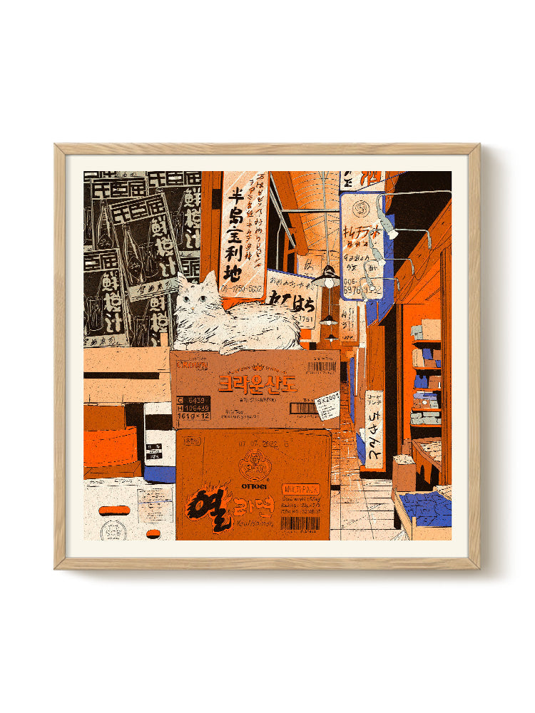 Enikő Eged - Bodega Cat Store | PSTR studio