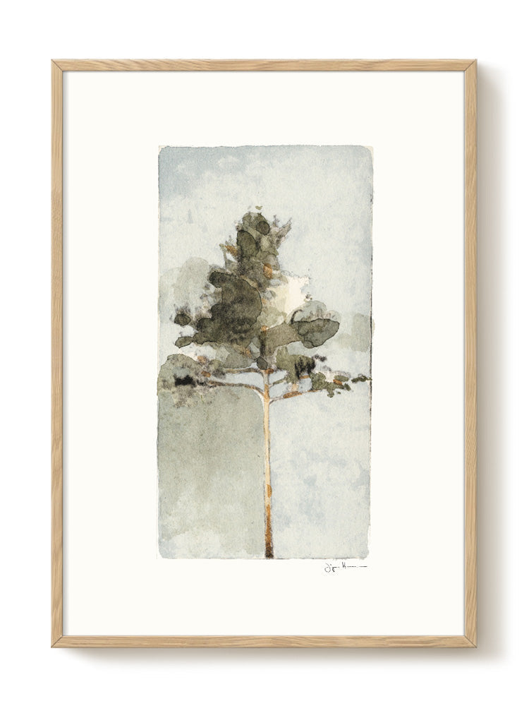 Jörgen Hansson - Pine I | PSTR studio