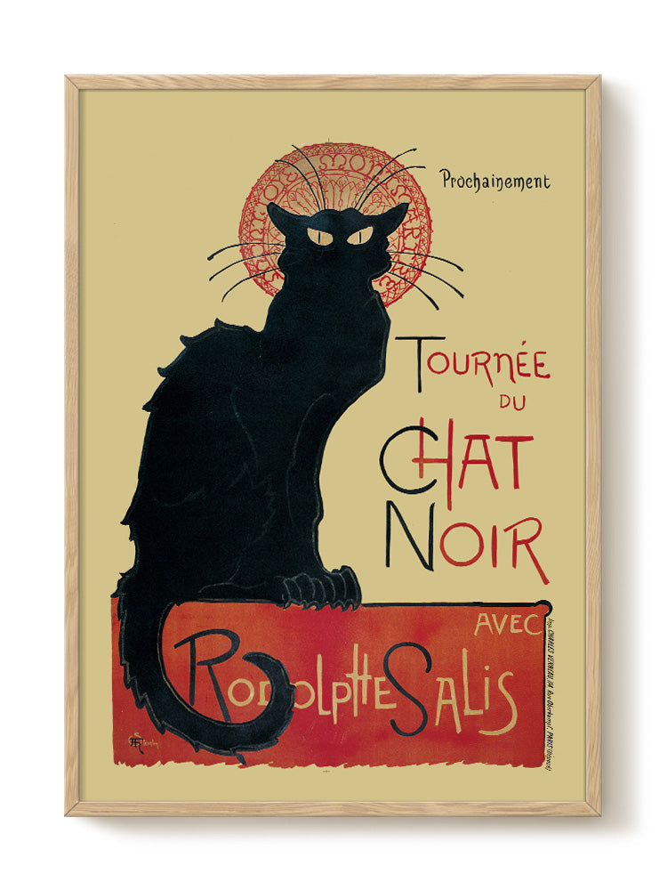 Chat Noir - Black Cat - Museum of Natural History - Vintage Art