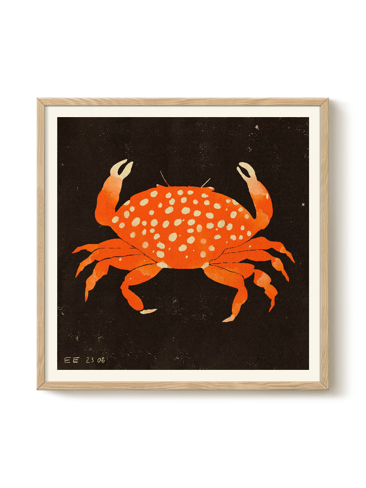 mogno6 crabat アート Crab with face, graffito, street art, Westerland, Sylt