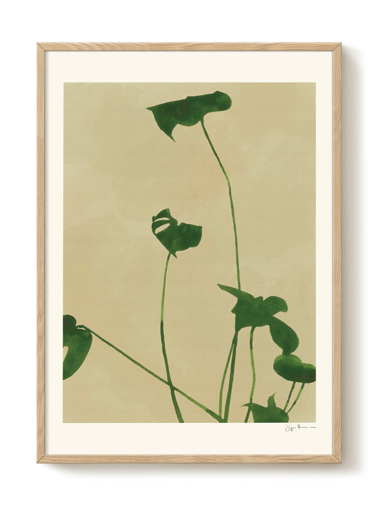 Jörgen Hansson - Monstera lI | PSTR studio