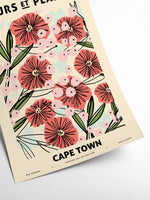 Zoe - Fleurs et Plantes - Cape town