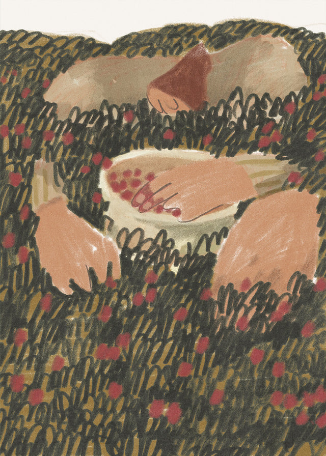 Emilia Wharfe -  Berry Picker