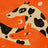 Frame preview image