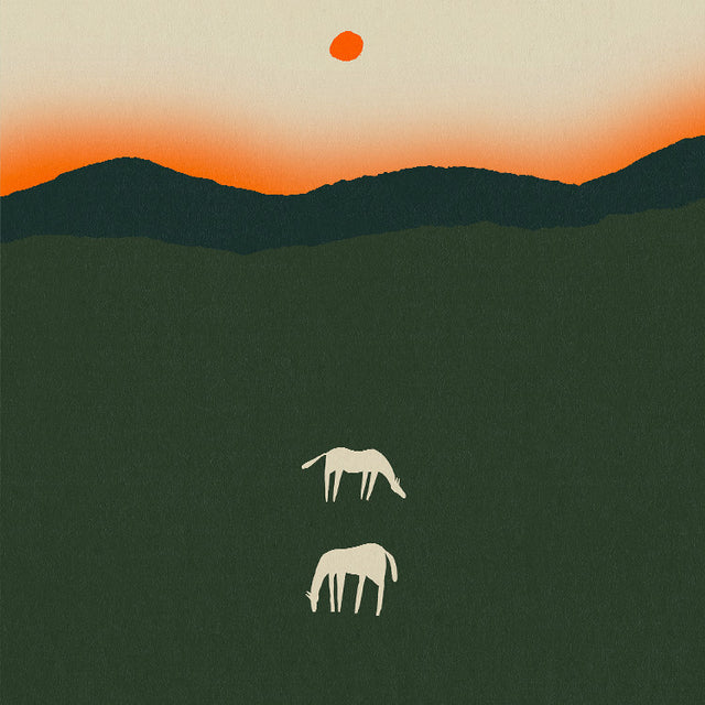 Enikő Eged - Horses at Dawn