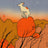 Frame preview image
