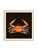 Enikő Eged - Starry Magic Crab