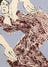Frame preview image