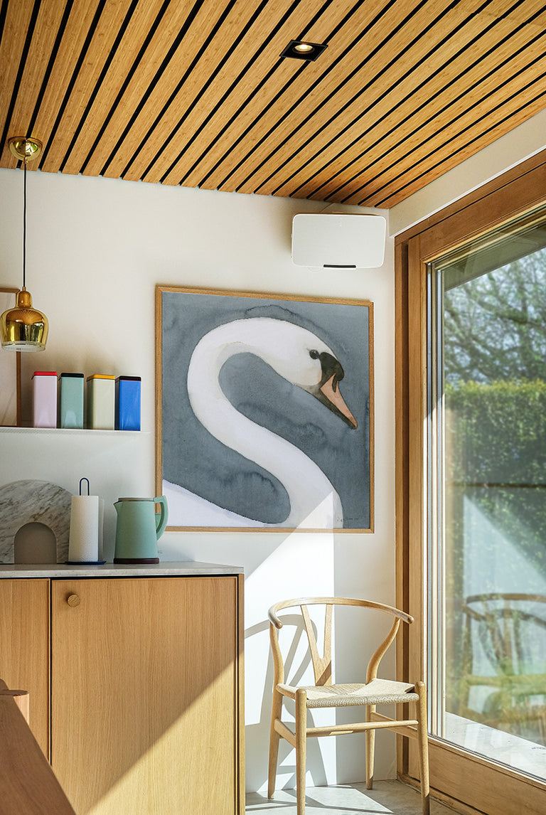 Jörgen Hansson - Swan head