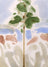 Frame preview image