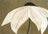 Frame preview image