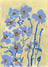 Frame preview image
