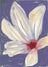 Frame preview image