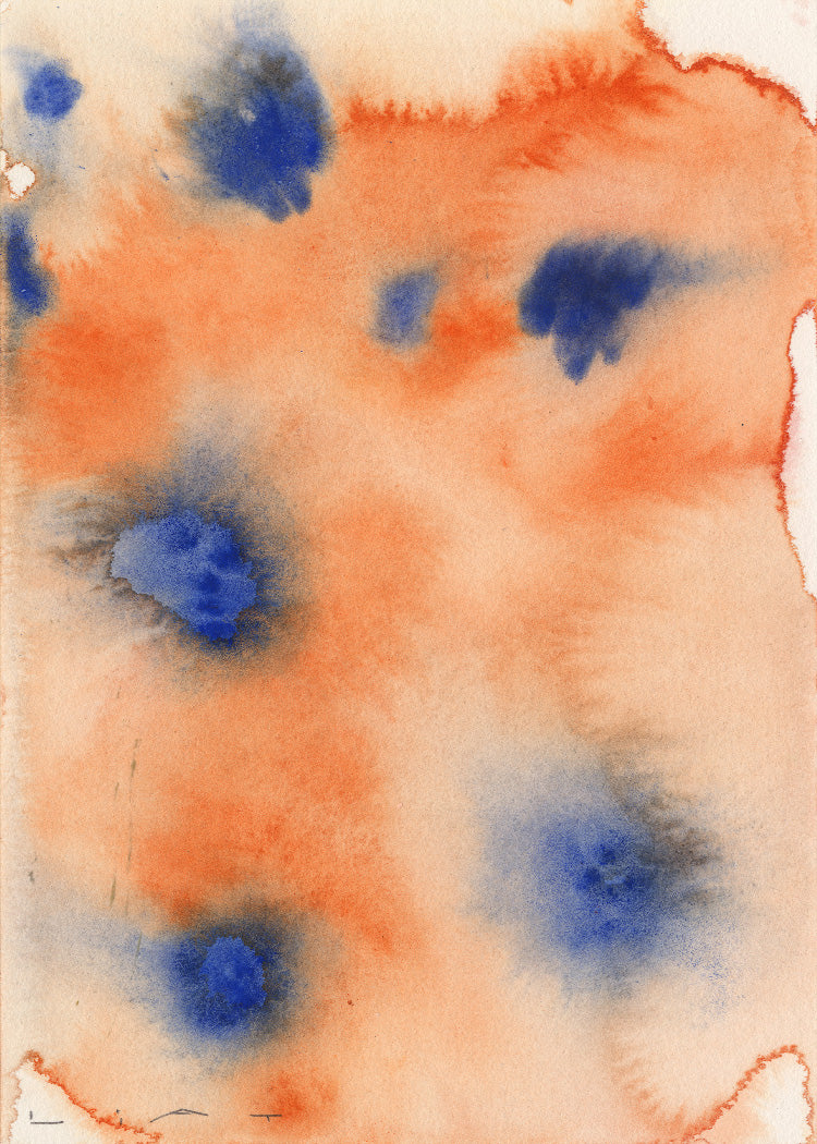 Liat Greenberg - Orange Flowers | PSTR studio