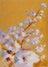 Frame preview image