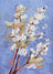 Frame preview image
