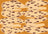 Frame preview image