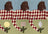Frame preview image