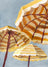Frame preview image