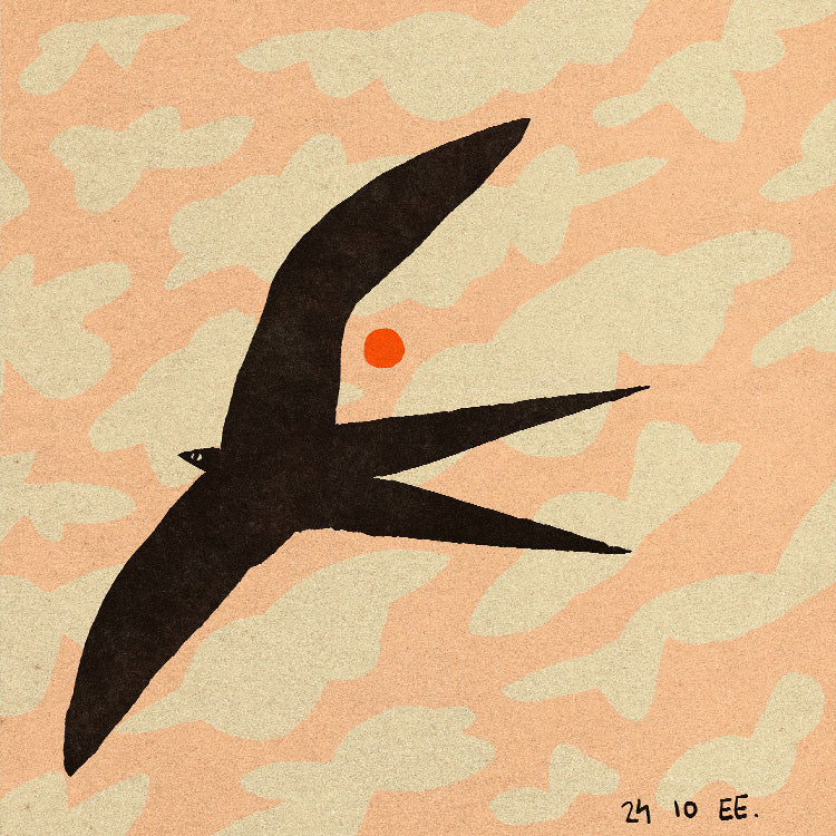 Enikő Eged - Swalow bird in the golden hour | PSTR studio