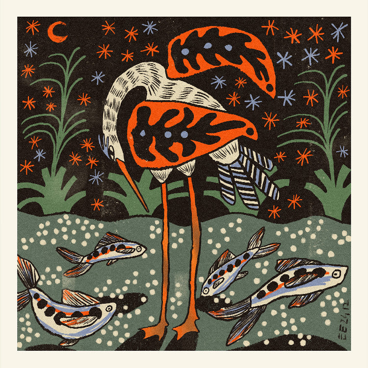 Enikő Eged - Magic Waterbird | PSTR studio