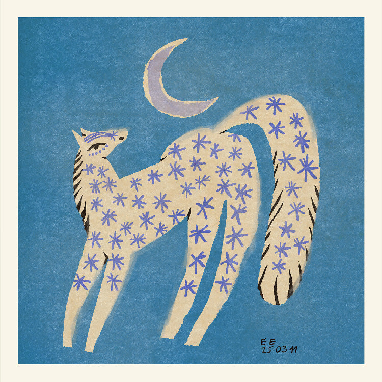 Enikő Eged - Star Horse | PSTR studio