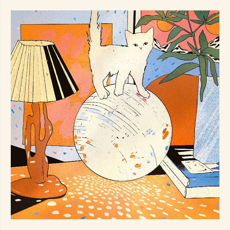 Enikő Eged - Bodega Kitten | PSTR studio