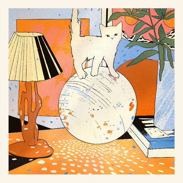 Enikő Eged - Bodega Kitten