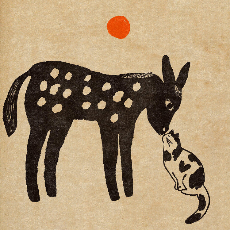 Enikő Eged - Donkey and a Cat | PSTR studio