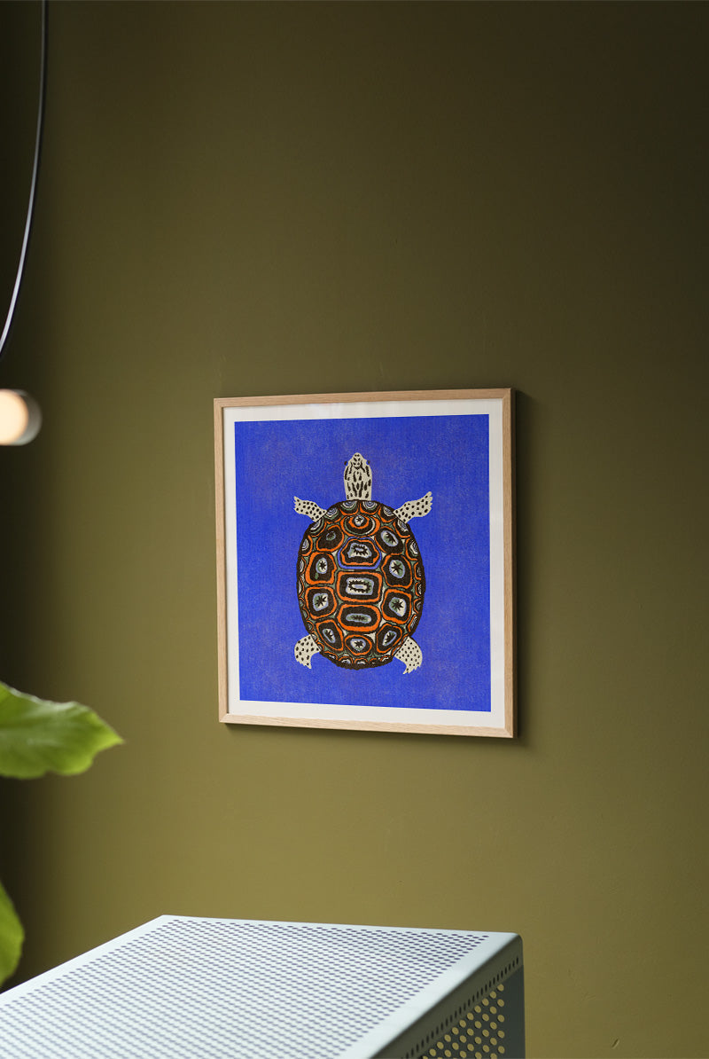 Enikő Eged - Turtle Blue | PSTR studio