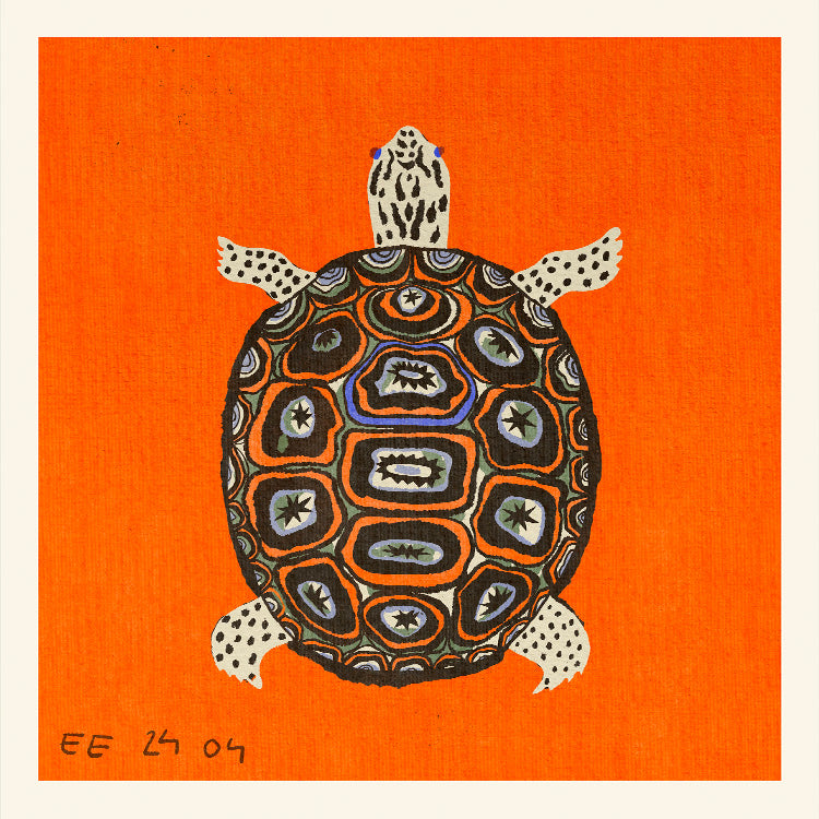 Enikő Eged - Turtle Orange | PSTR studio