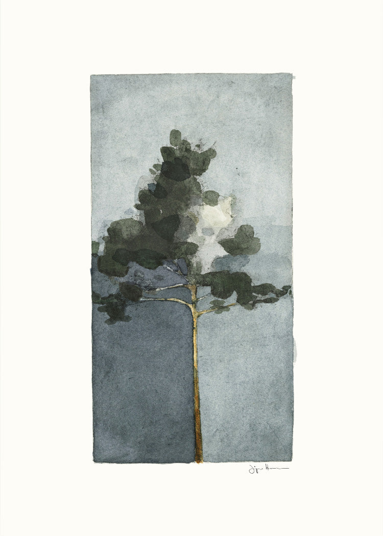 Jörgen Hansson - Pine II | PSTR studio