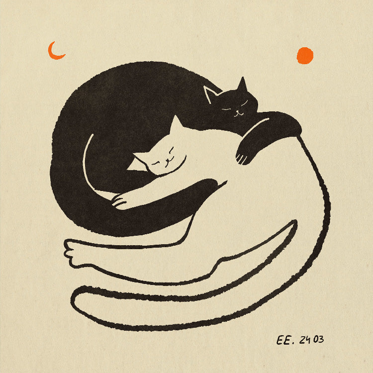 Enikő Eged - Cuddles | PSTR studio
