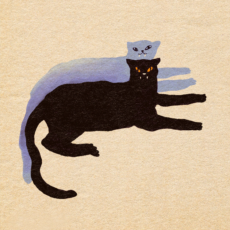 Enikő Eged - Resting Panthers | PSTR studio