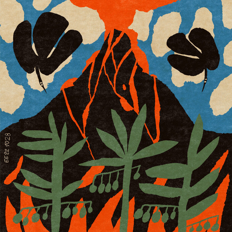 Enikő Eged - Volcano | PSTR studio