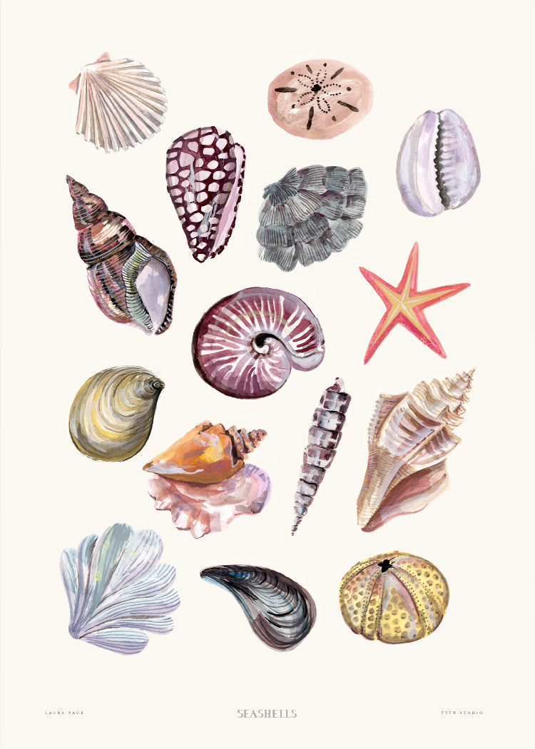 アート・デザイン・音楽 shells / Paul Starosta Laura - Seashells | PSTR studio