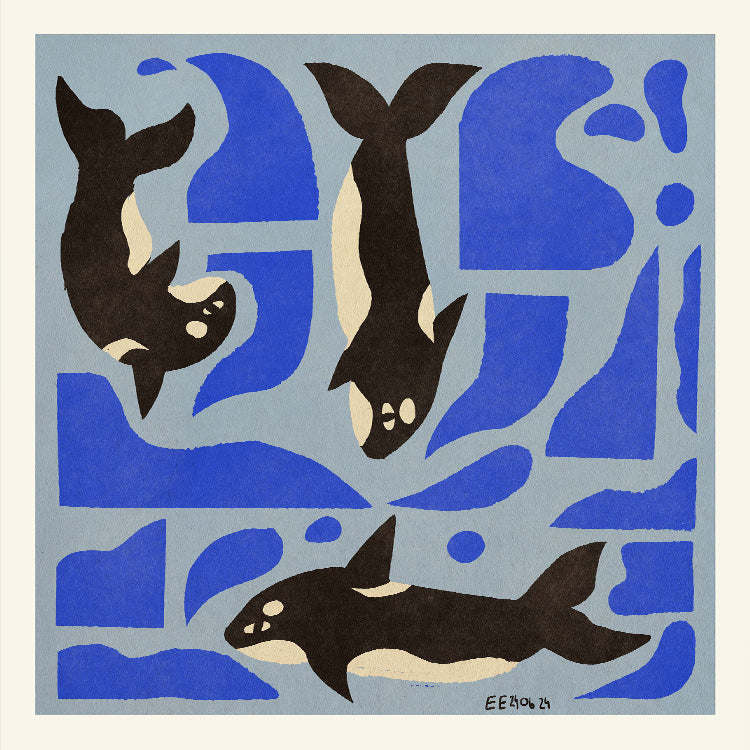 Enikő Eged - Orca | PSTR studio