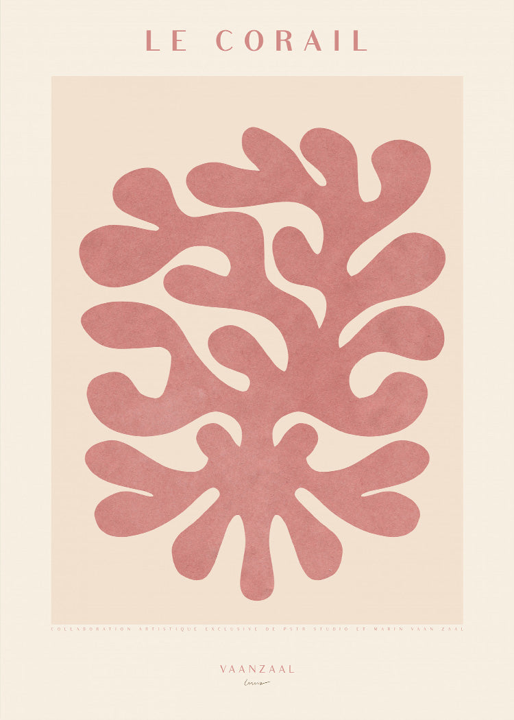 Marin - Le Corail II | PSTR studio