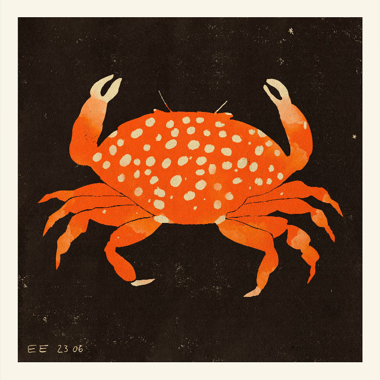 Enikő Eged - Spotted Crab | PSTR studio