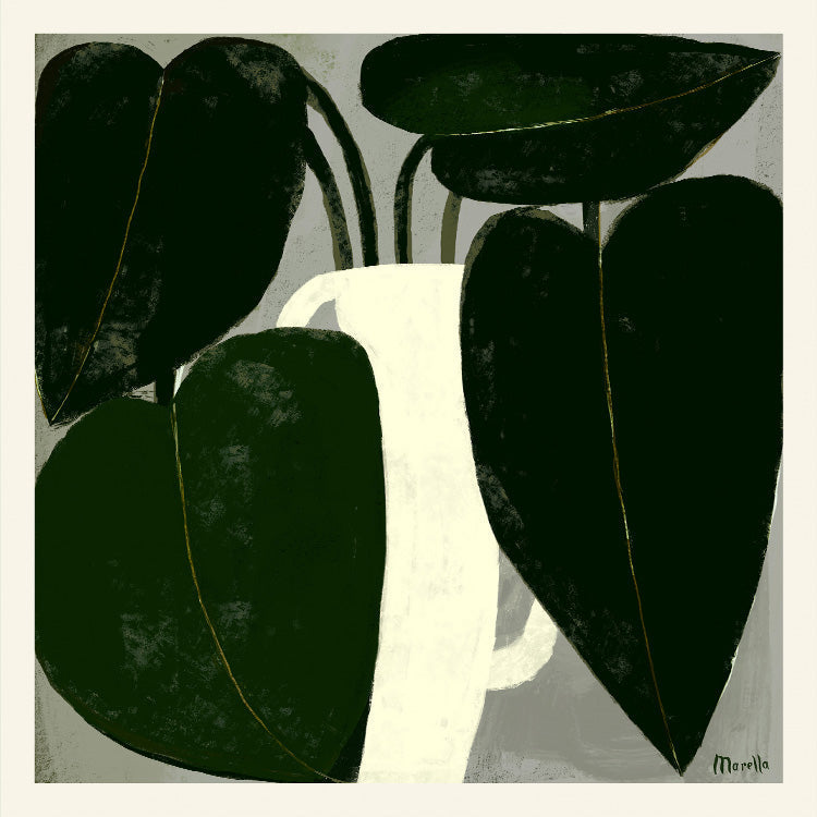 Marco - Plant IIII | PSTR studio
