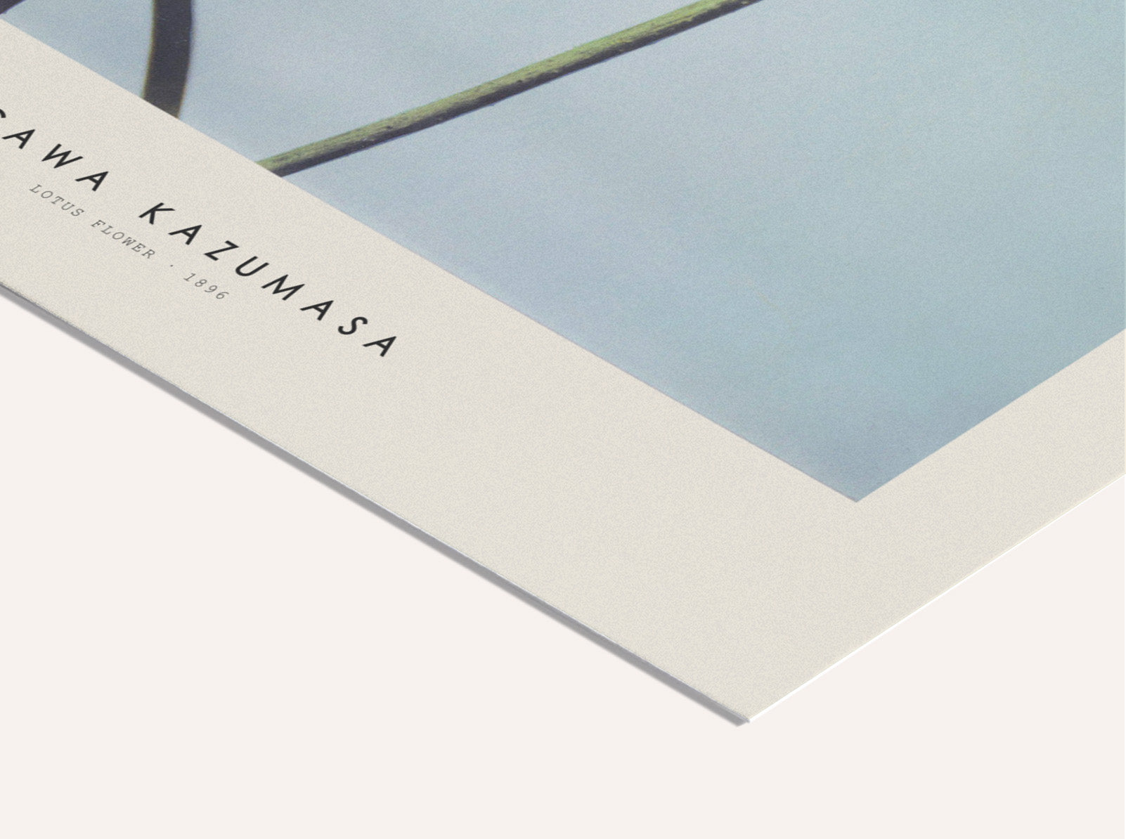 Ogawa Kazumasa - Lotus | PSTR studio