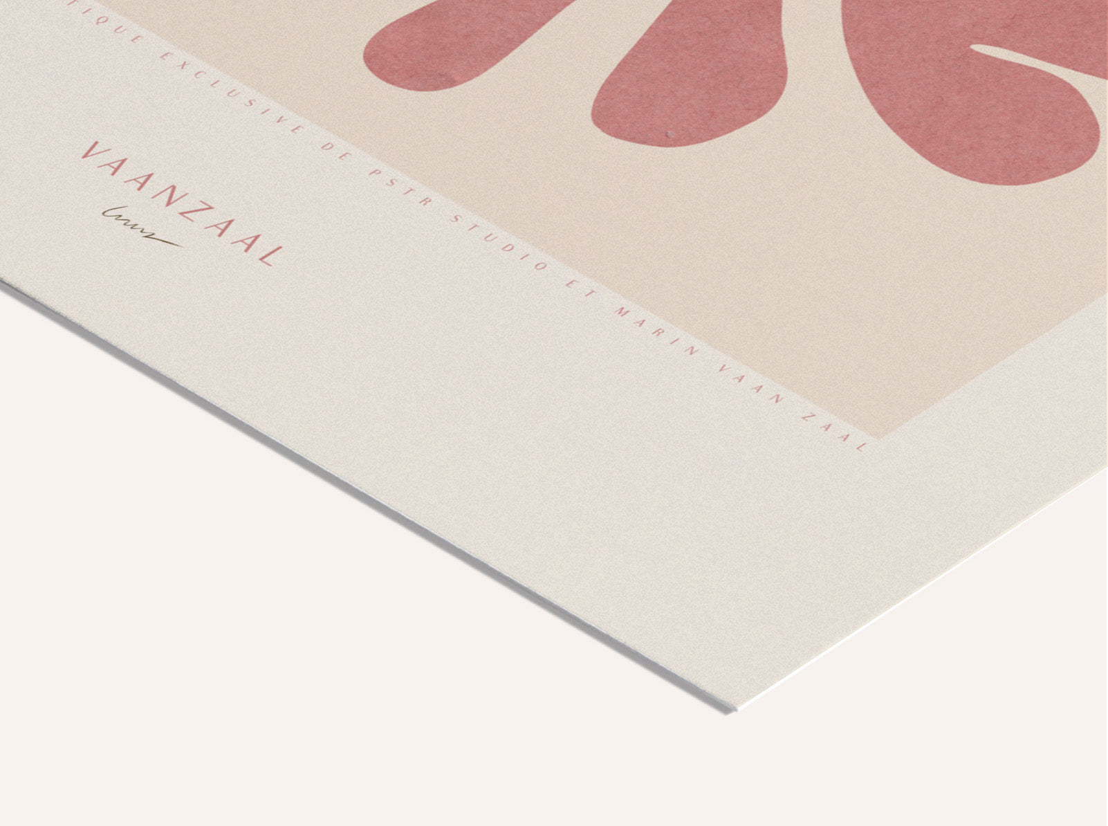 Marin - Le Corail II | PSTR studio