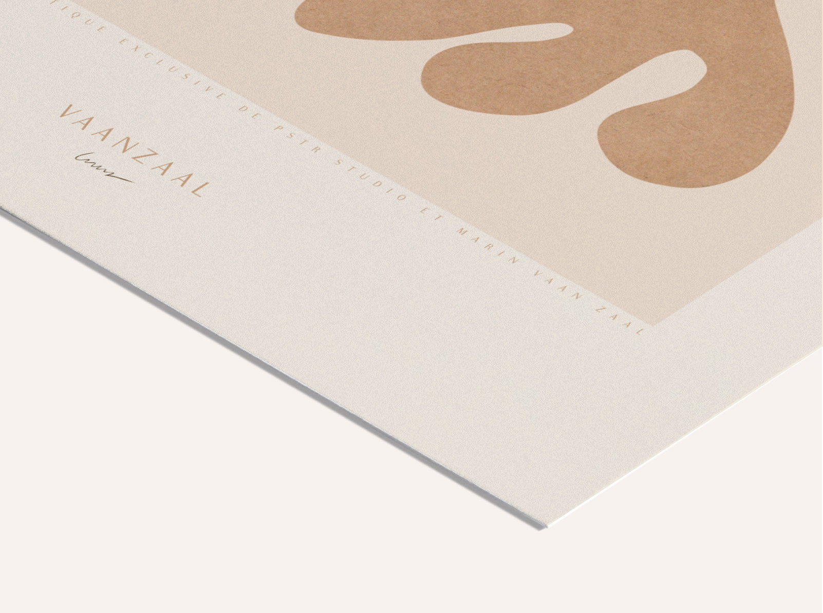 Marin - Le Corail | PSTR studio