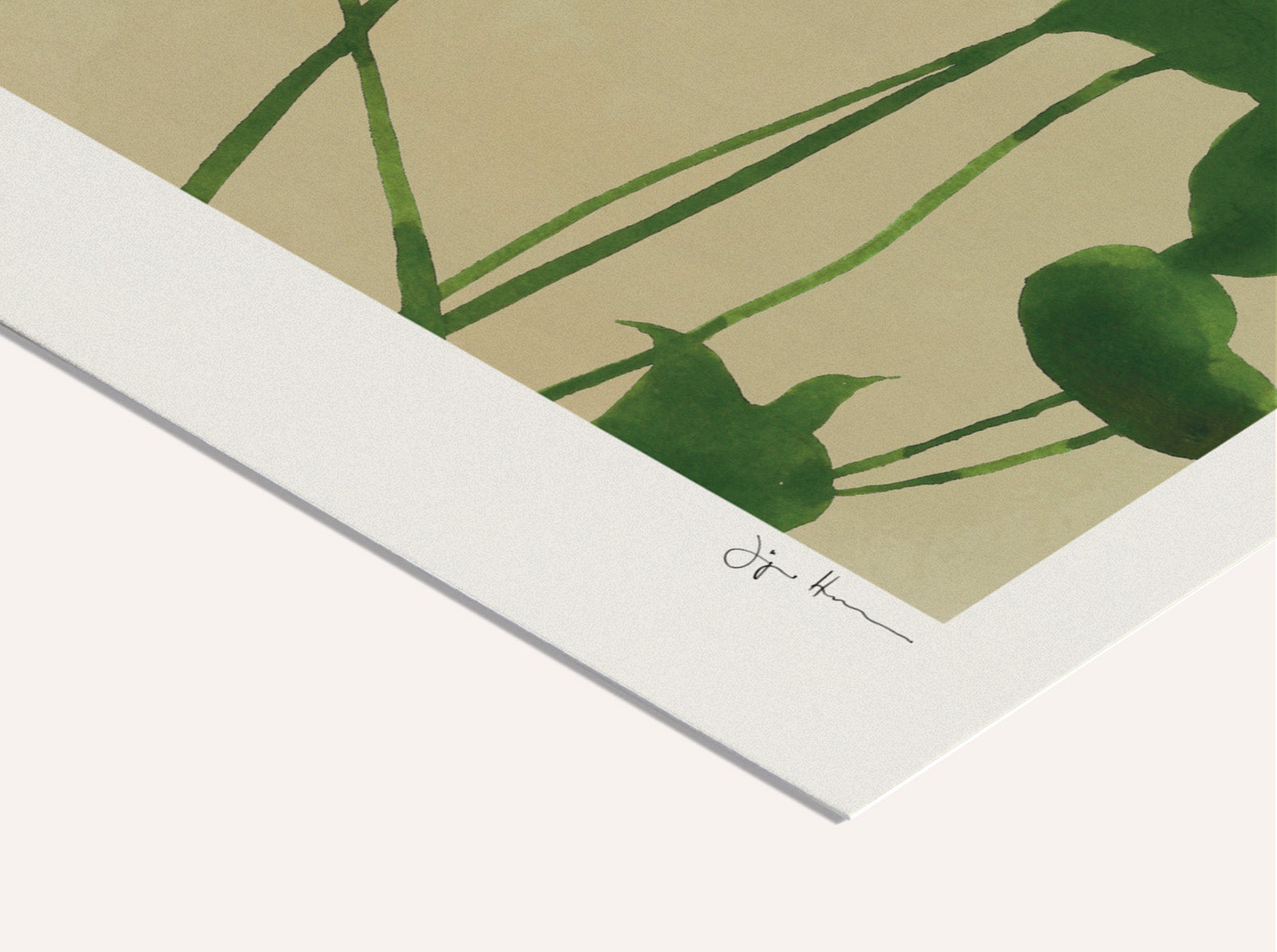 Jörgen Hansson - Monstera lI | PSTR studio