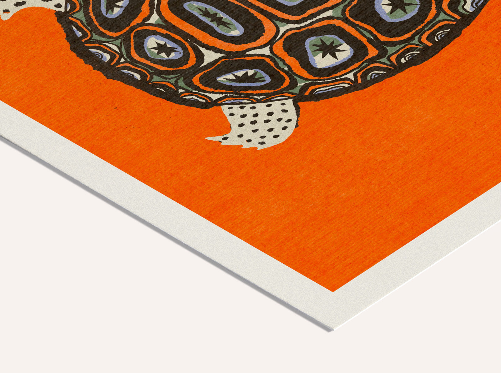 Enikő Eged - Turtle Orange | PSTR studio