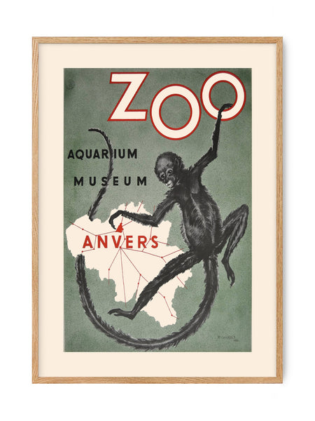 Vintage Zoo - Anvers poster | Art print Poster